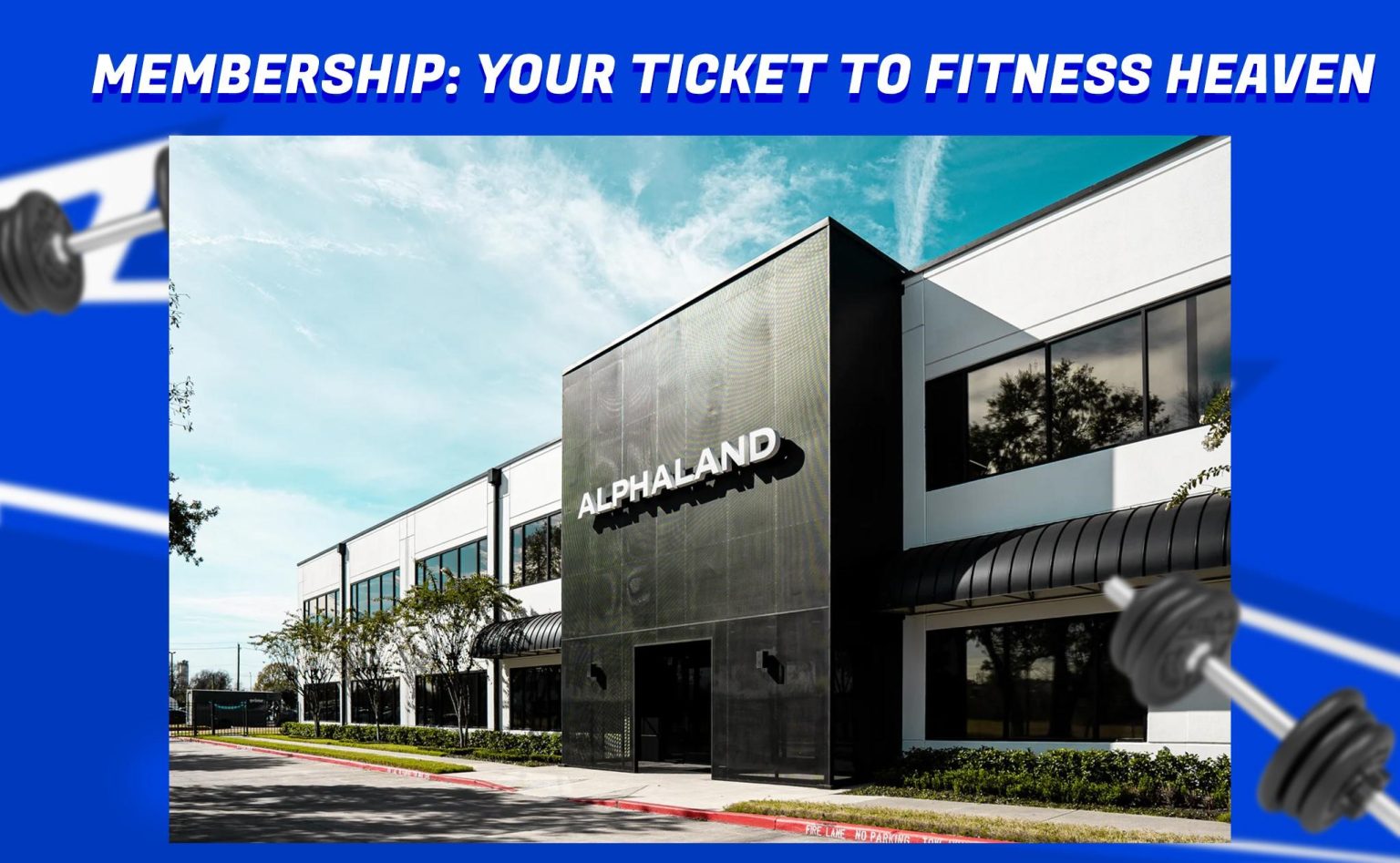 Alphaland: Where Fitness Goals Thrive in Missouri City, Texas